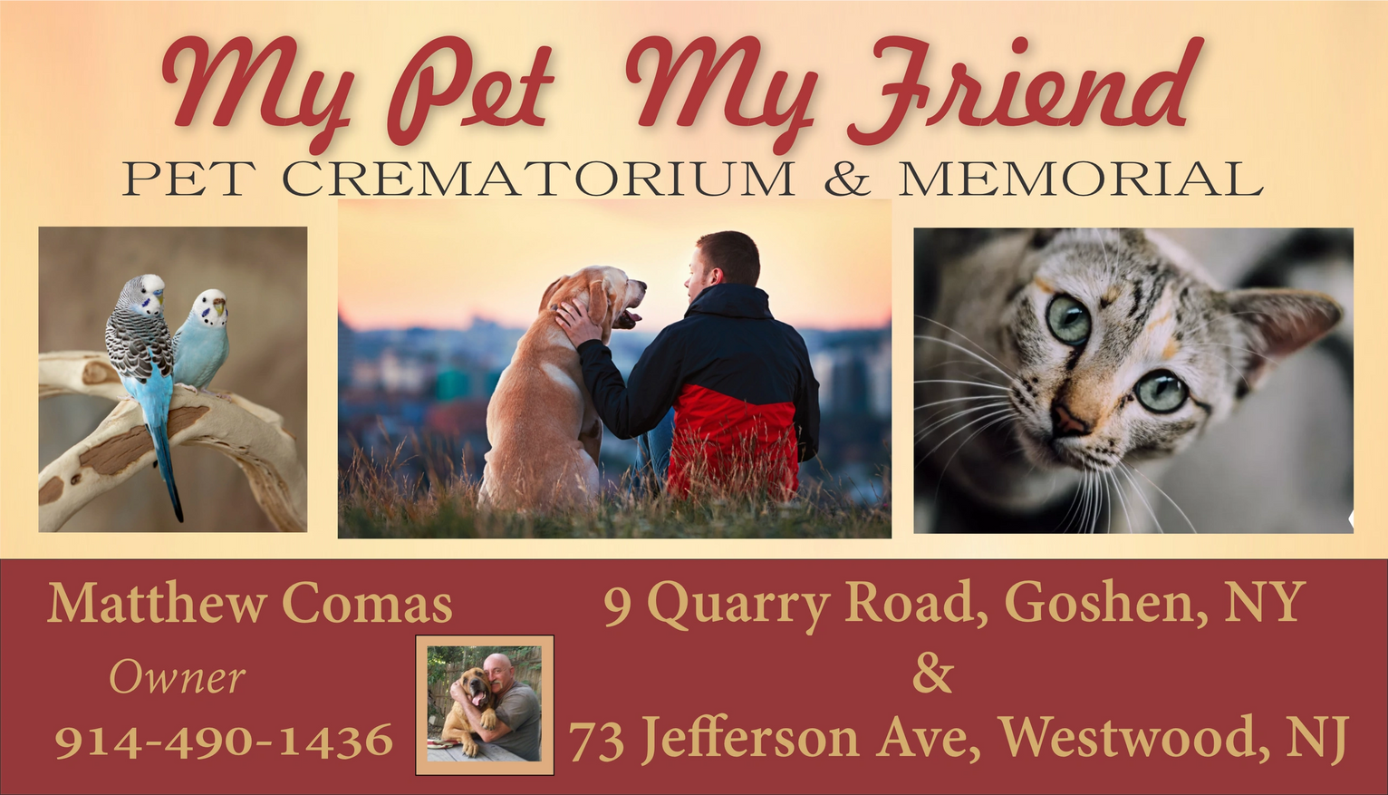 Puppy Proofing Your Home - Midlands Pet Care Pet Crematory and Cemetery